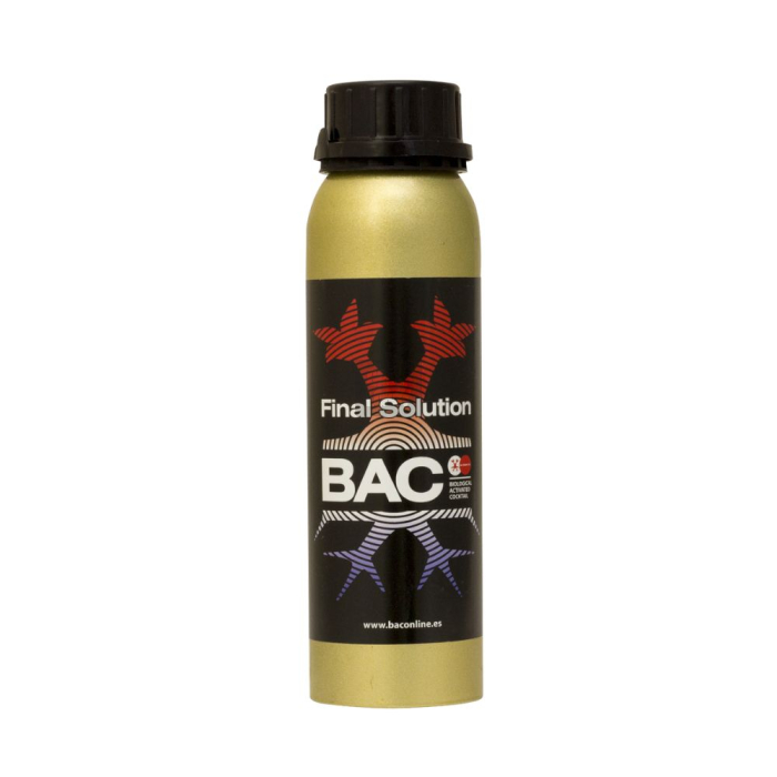 Final Solution BAC