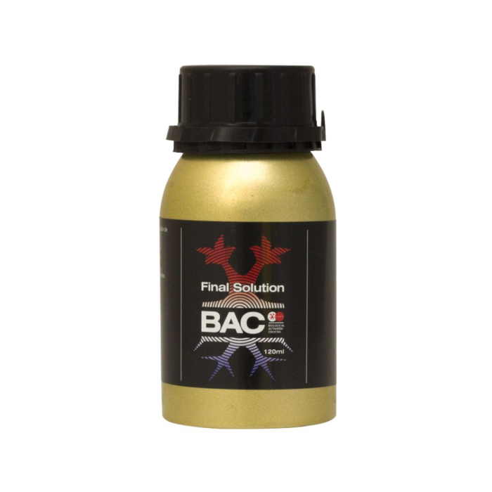 Final Solution BAC
