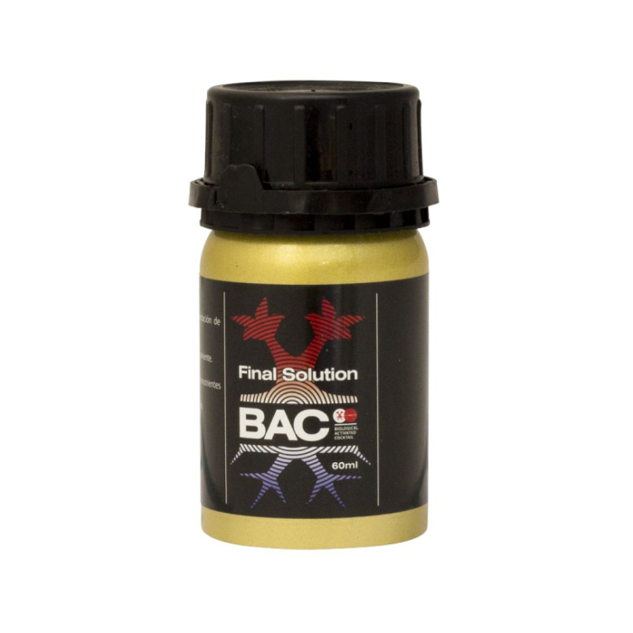 Final Solution BAC