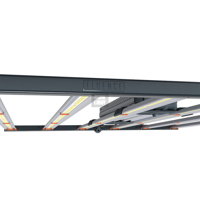 Fluence SPYDR LED 2p