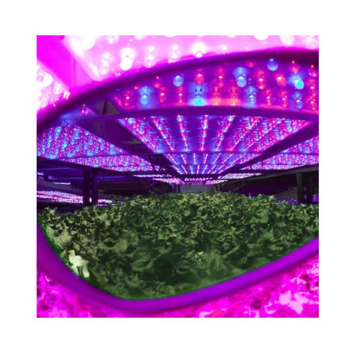 Gafas Method Seven Cultivator LED Plus