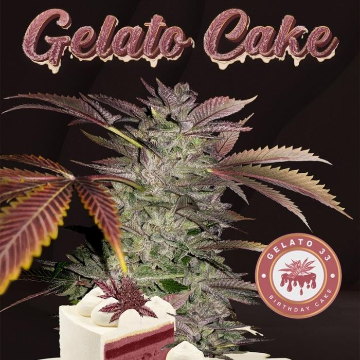 Gelato Cake