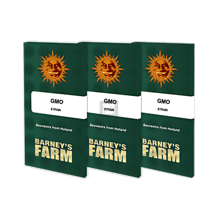 GMO
