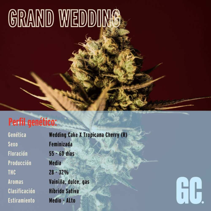 Grand Wedding Grand Wedding
