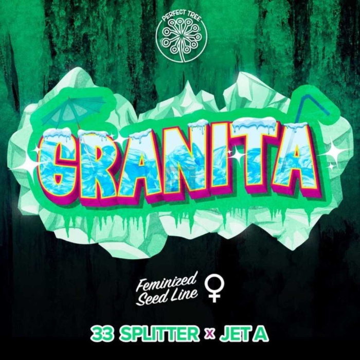 Granita (33 Splitter x Jet A)