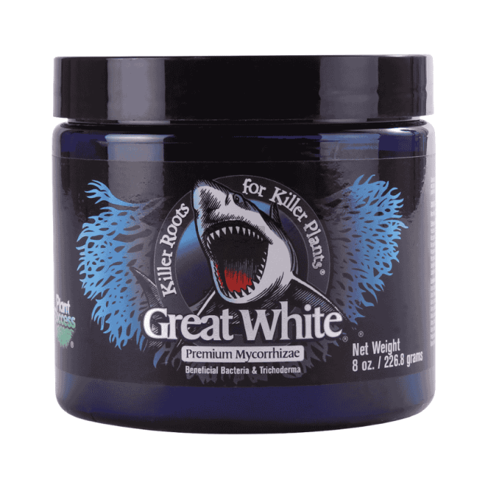 Great White Premium