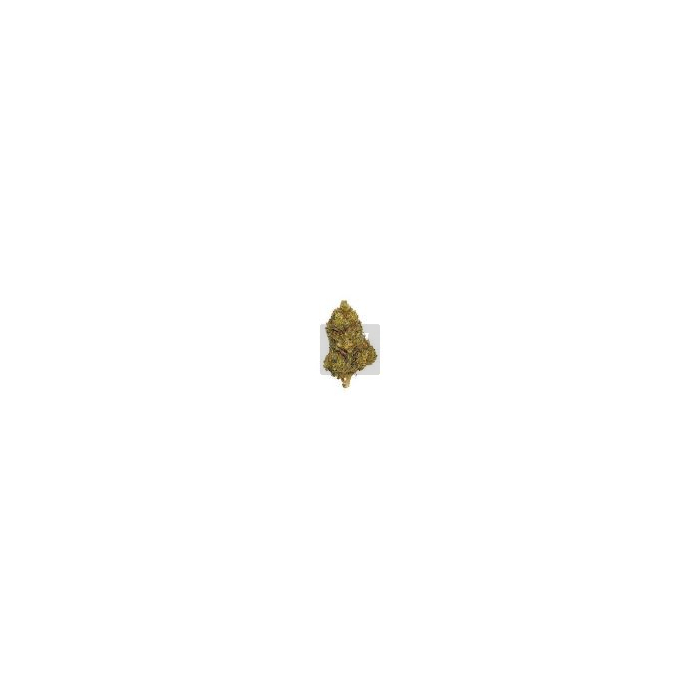 Green Berry CBD XUXES