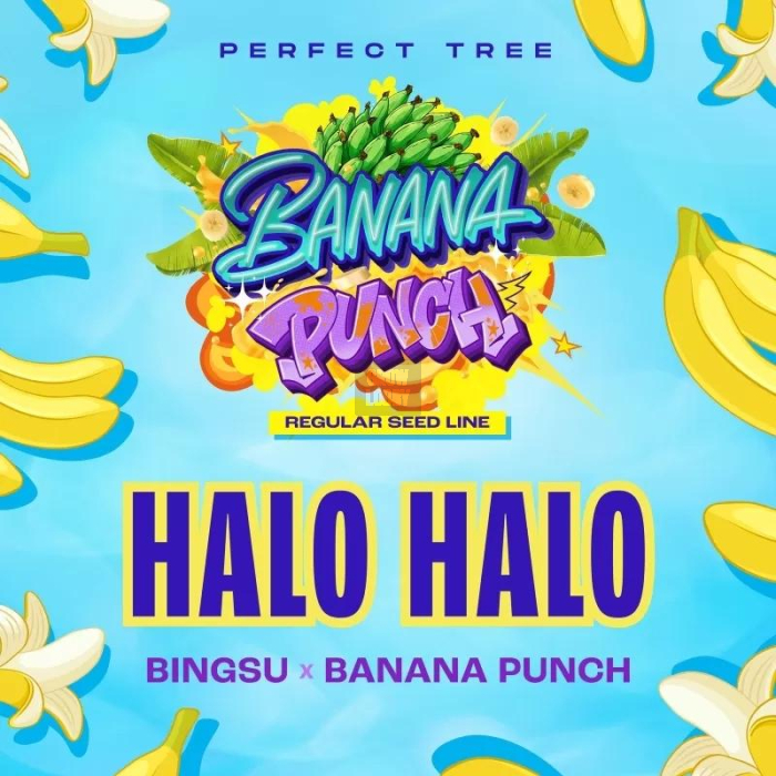 Halo Halo (Bingsu x Banana Punch)