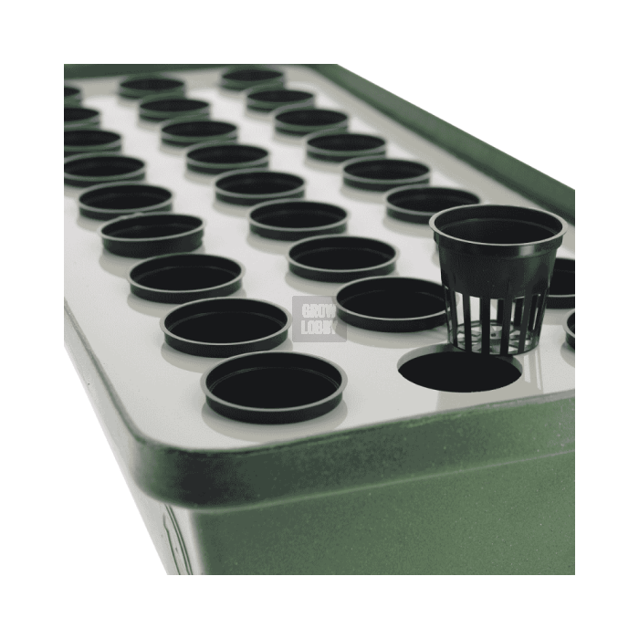 HydroCloner® 27 Terra Aquatica