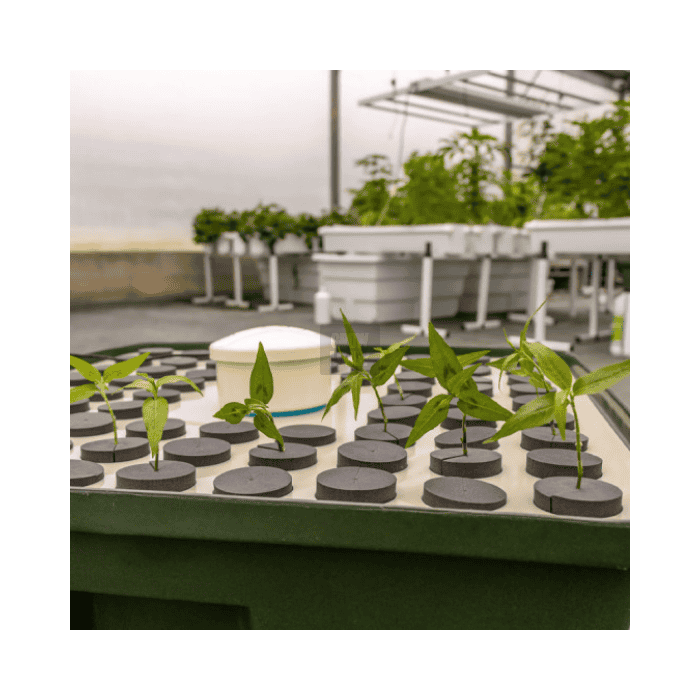 HydroCloner® Spinner 72 Terra Aquatica