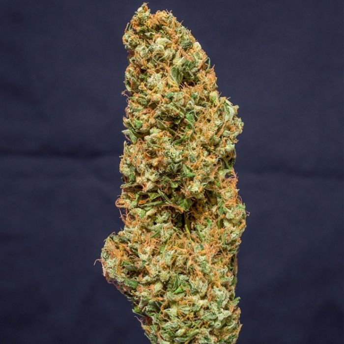 Kees' Old School Haze Kees' Old School Haze