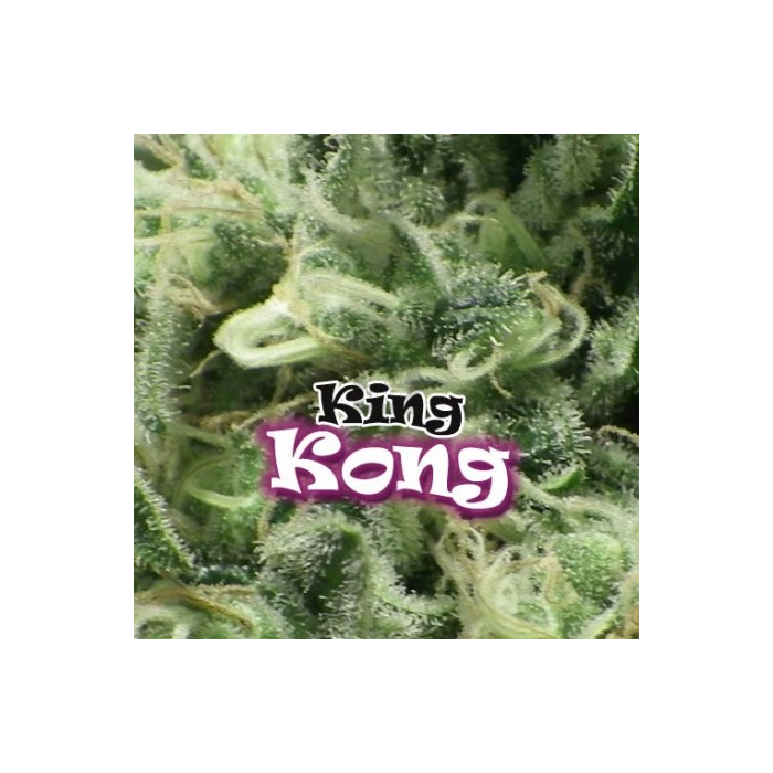 King Kong