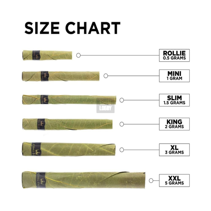King Palm Mini