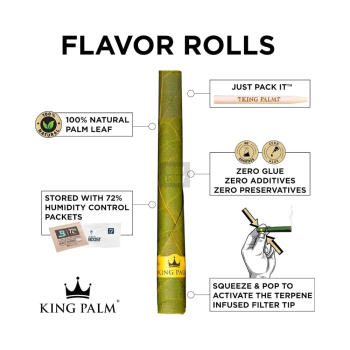 King Palm Mini