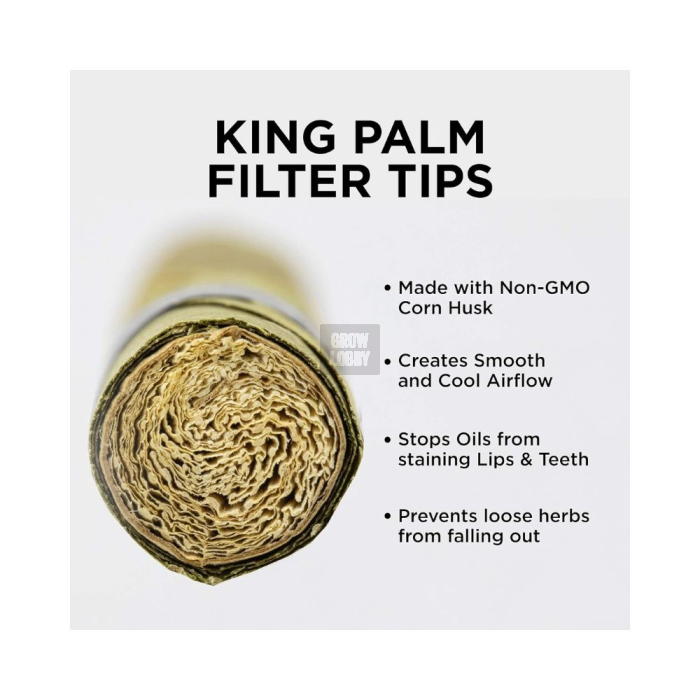 King Palm Mini