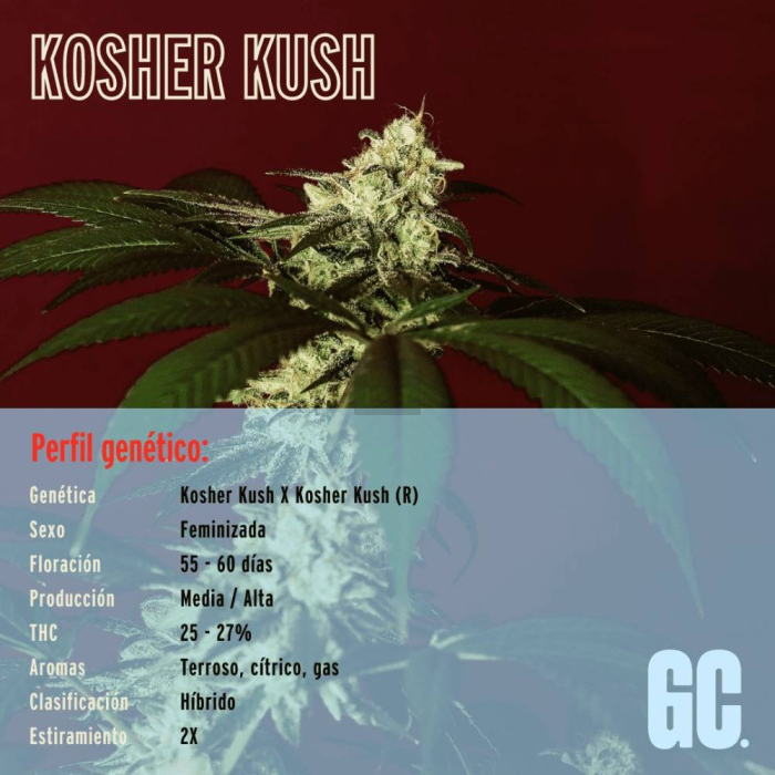 Kosher Kush BX