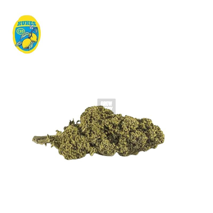 Lemon CBD XUXES