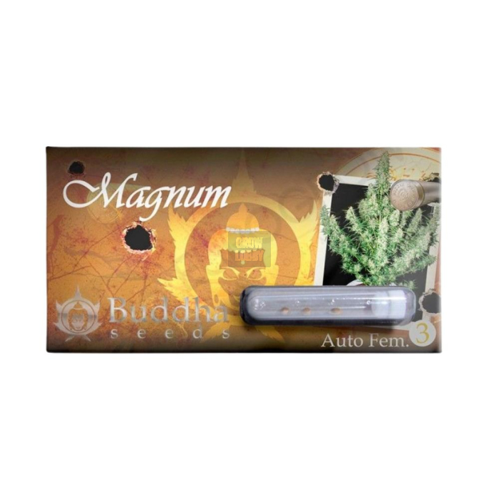 Magnum Auto