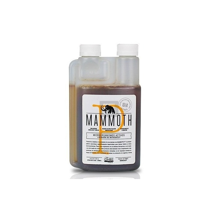Mammoth P Microbios / Bacterias