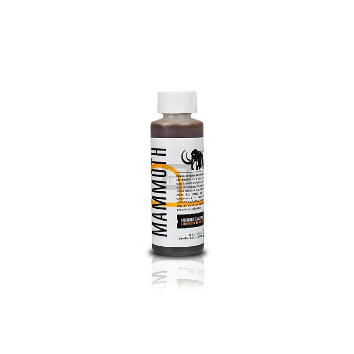 Mammoth P Microbios / Bacterias