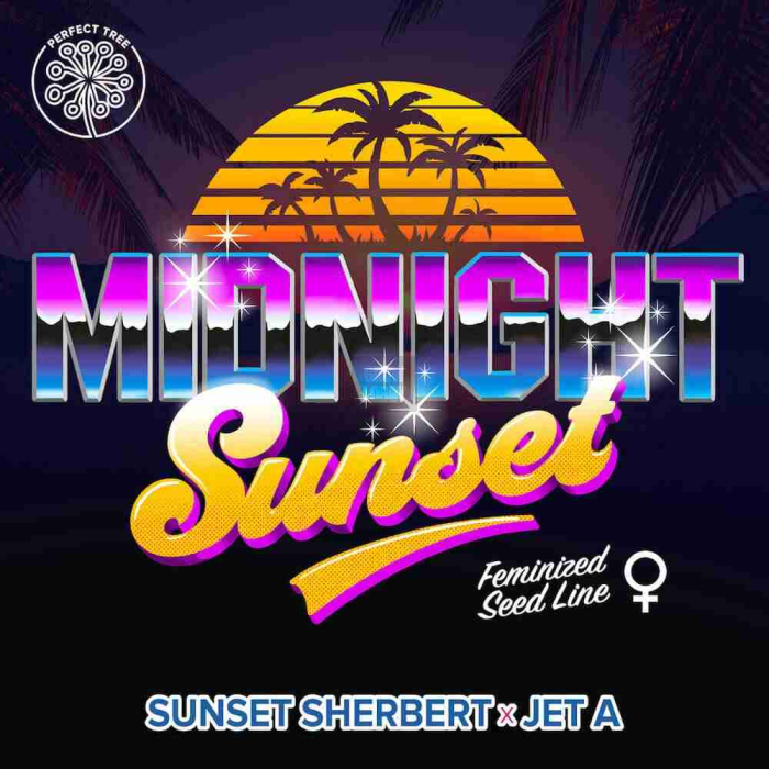 Midnight Sunset (Sunset Sherbet x Jet A)