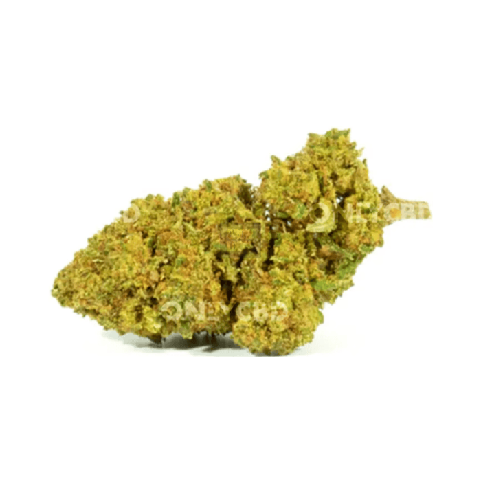 Mini Brains CBD (Smalls Greenhouse)