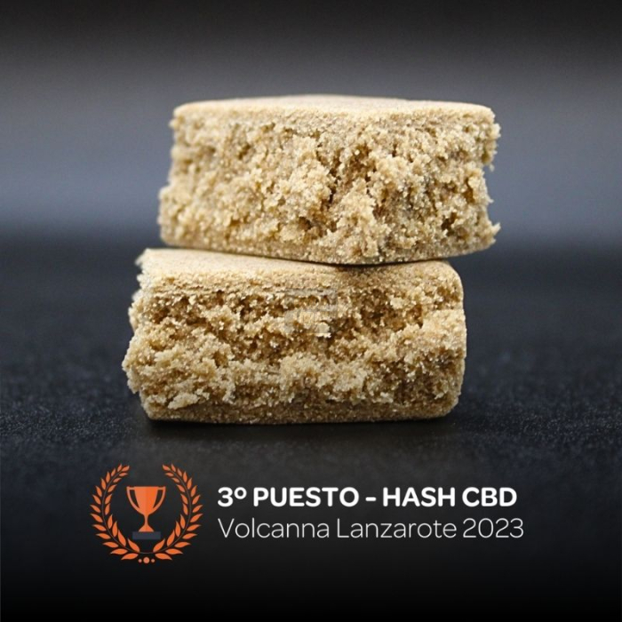 Nicole Hash