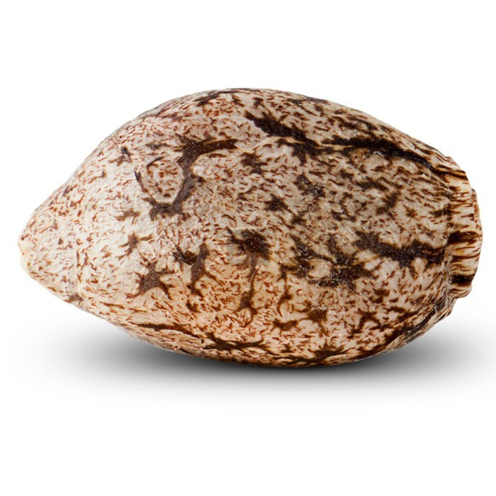 Old School Old School