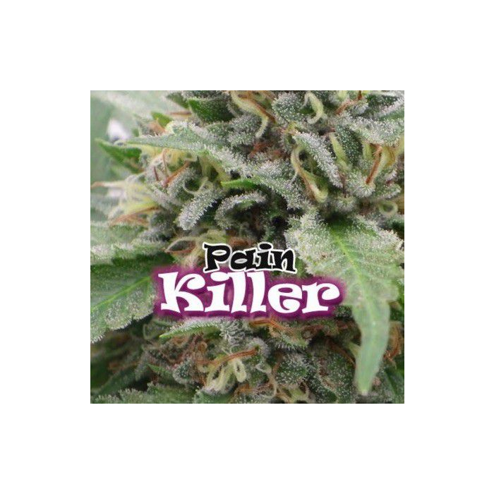 Painkiller