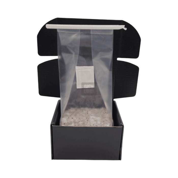 Pan de Setas GT Pan de Setas GT