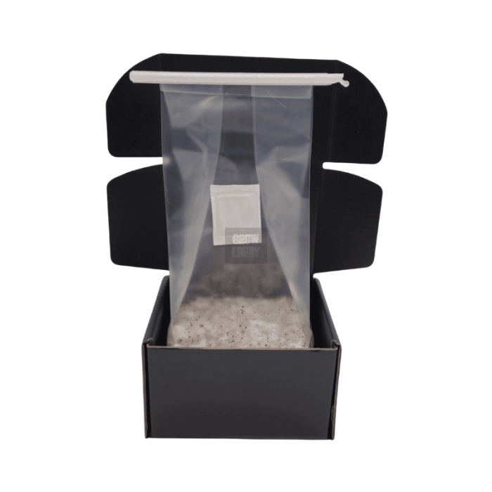 Pan de Setas APE 221