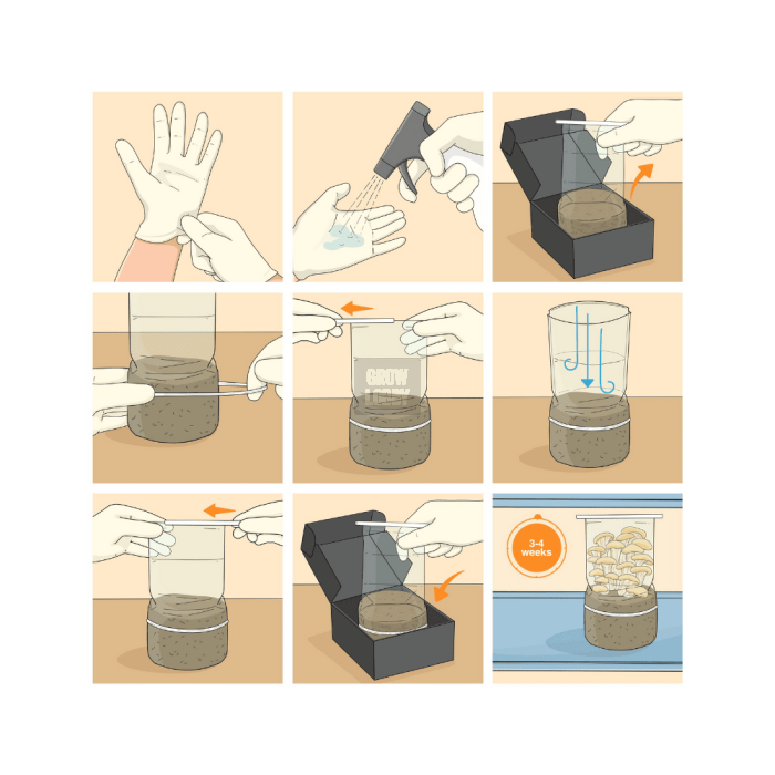 Pan de Setas GT Pan de Setas GT