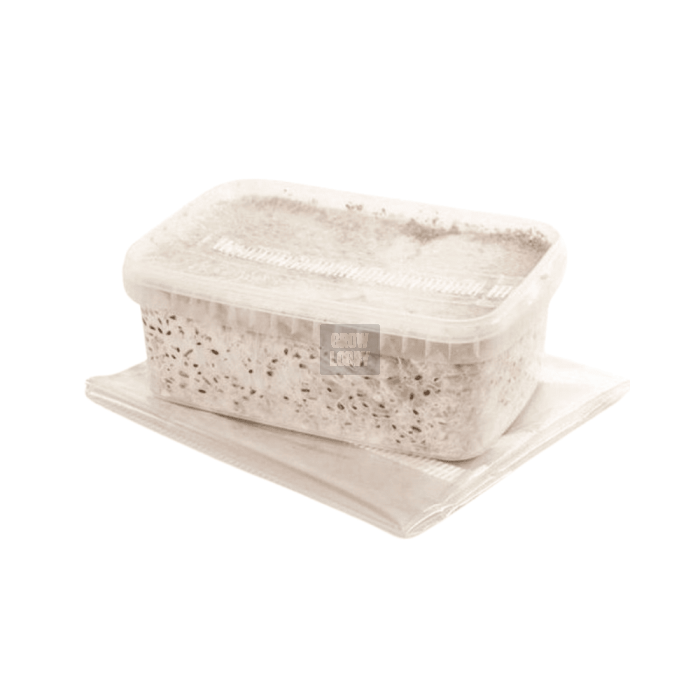 Pan de Setas Thai