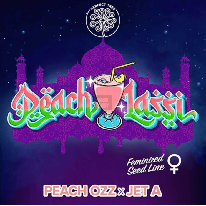 Peach Lassi (Peach Ozz x Jet A)