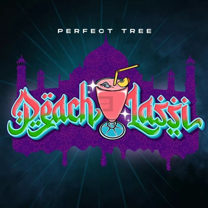 Peach Lassi Regular (Peach Ozz x Jet A)