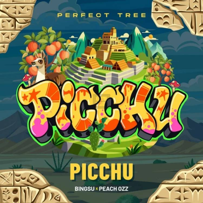 Picchu (Bingsu x Peach Ozz)