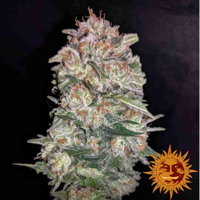 Pineapple Chunk