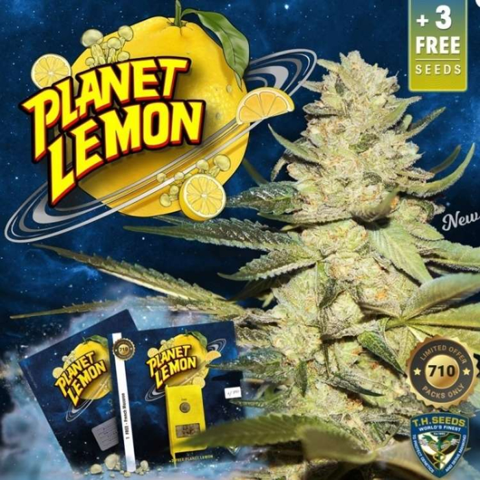 Planet Lemon