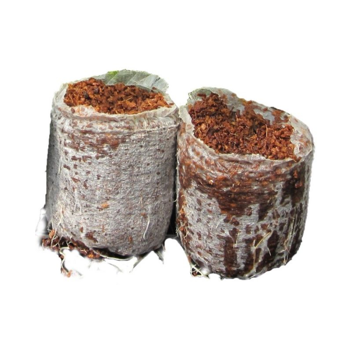 Coco Plug 32mm RioCoco (2500 Uds)