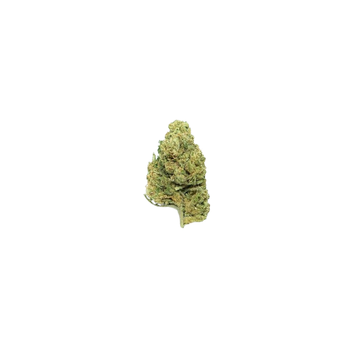 Pocket Leeroy Jenkins Gorilla Grillz