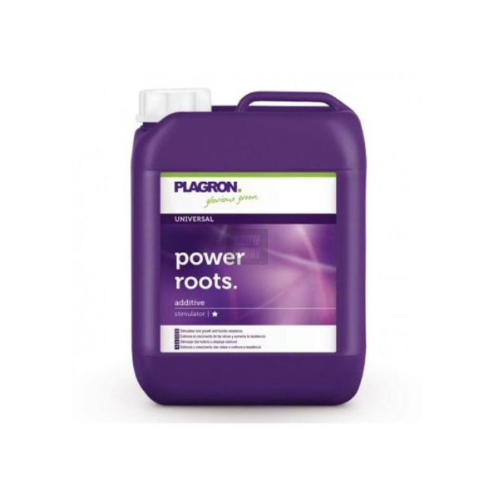 Power Roots