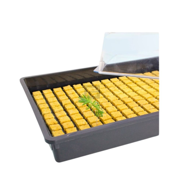 Propagador Senkap Pro 70 (58x38x24cm)