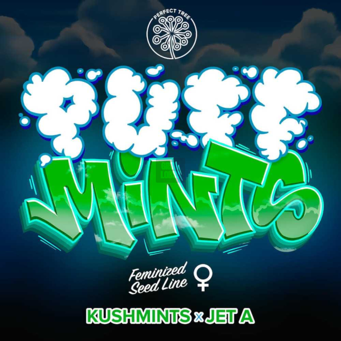 Puff Mints (Kush Mints x Jet A)