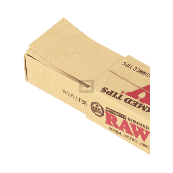 RAW Tips Gummed (33 boquillas)