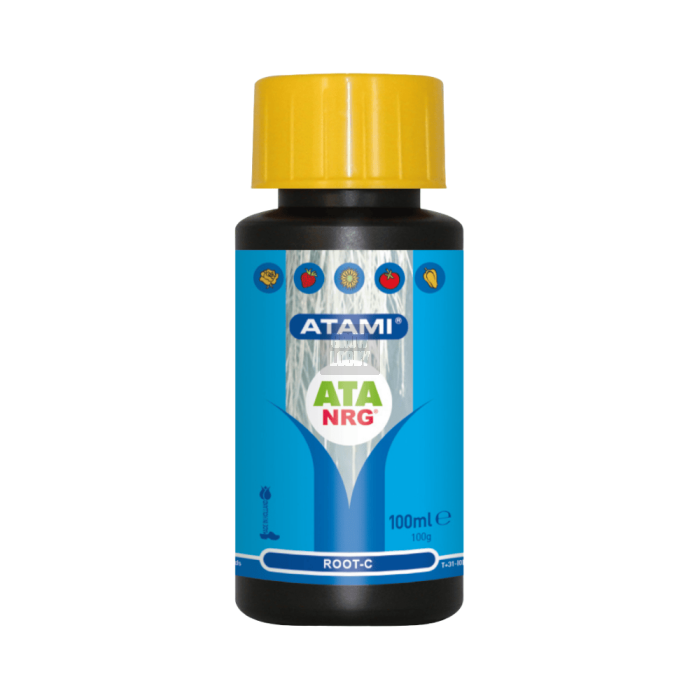 Root-C B'cuzz Atami Root-C B'cuzz Atami