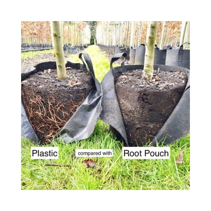 Maceta Geotextil Root Pouch