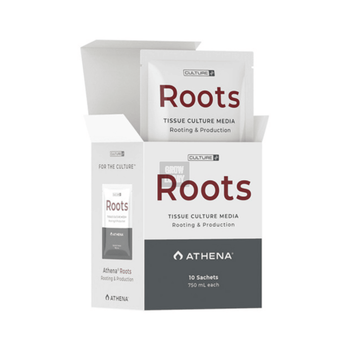 Roots Culture Media