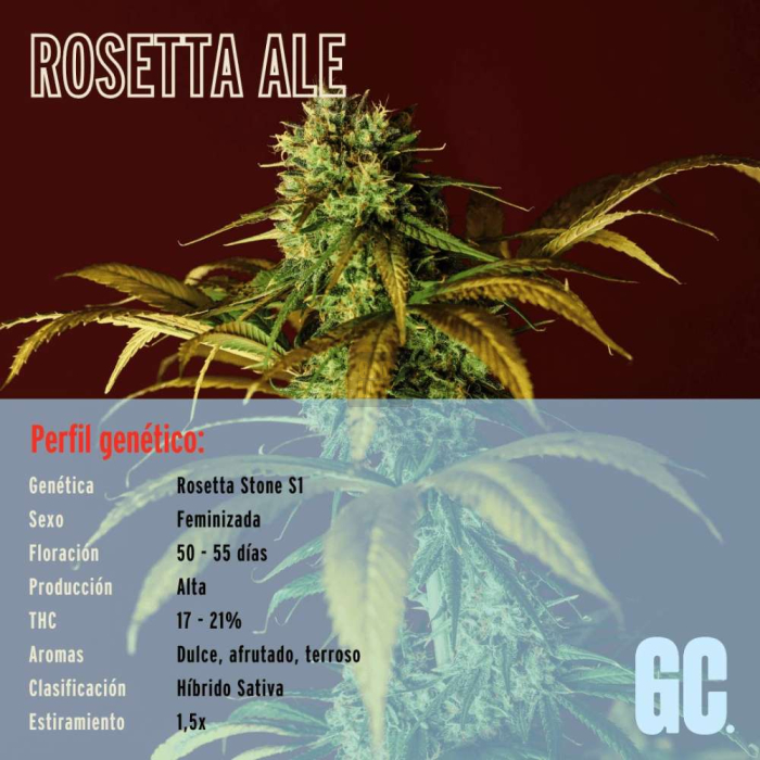 Rosetta Ale Rosetta Ale