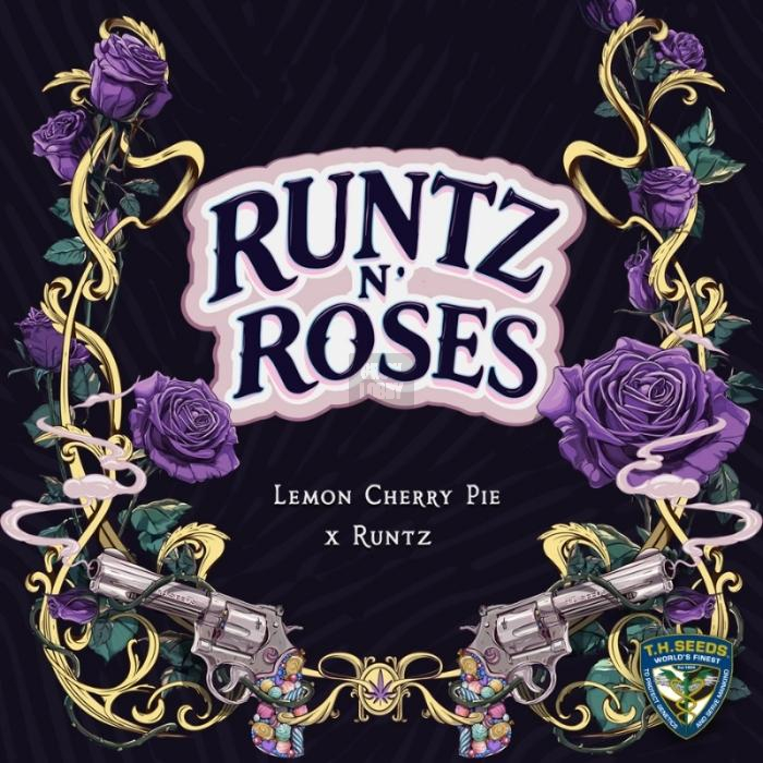 Runtz N´Roses