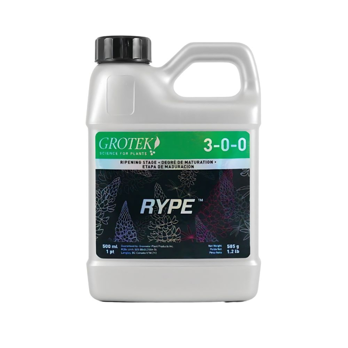 Rype Grotek